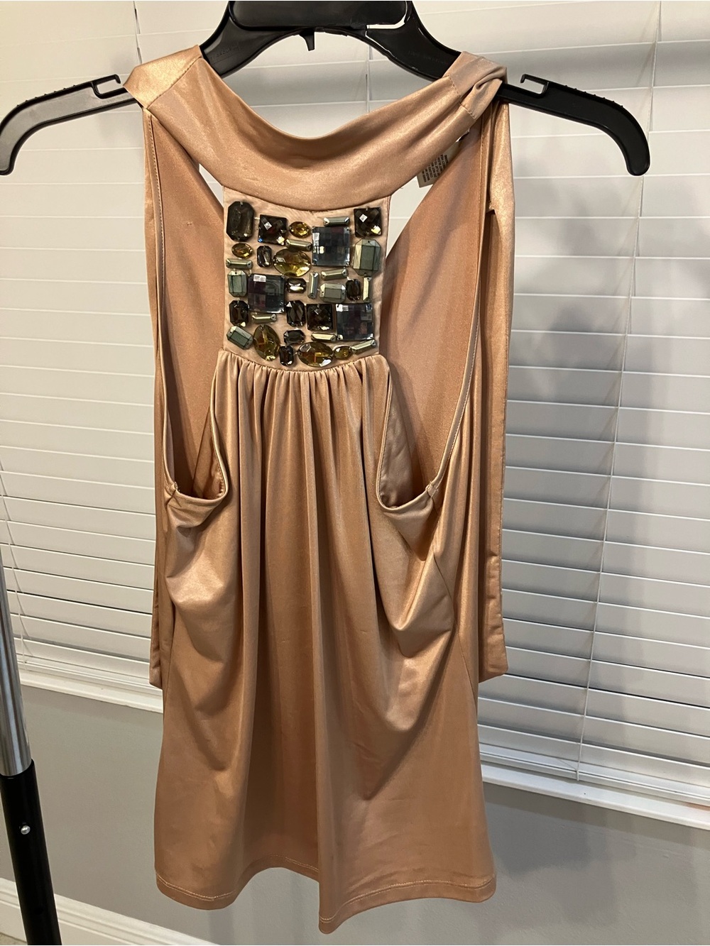 Cache Champagne Backless Satin Top with Jewel Panel